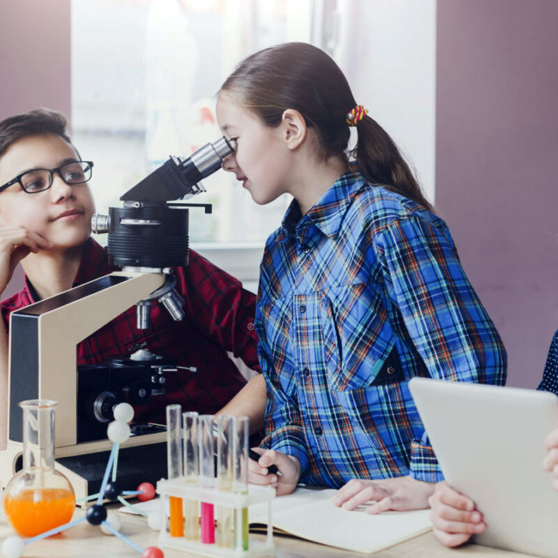 How Practical Learning Improves School Lessons